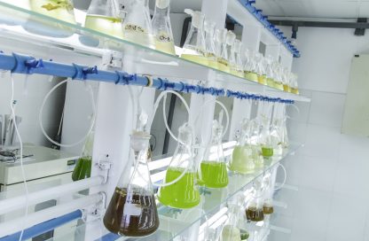 laboratorio de algas