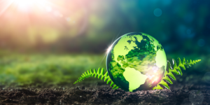 sostenibilidad economía circular innovación