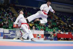 defensa pelea ataque 