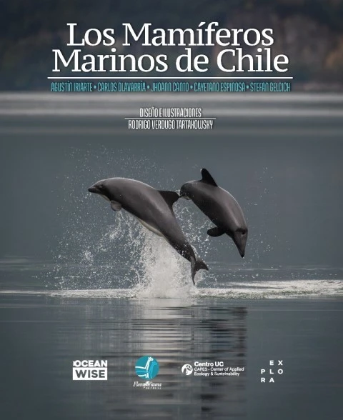 mamíferos marinos de Chile