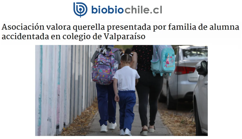 La académica Carmen Gloria Garrido comenta la situación de la alumna accidentada debe ser abordada como como política pública. 