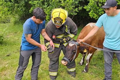 bombero