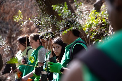 jardin botanico