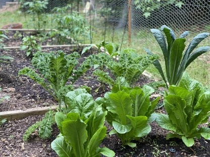huerta urbana