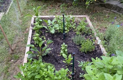 huerta urbana