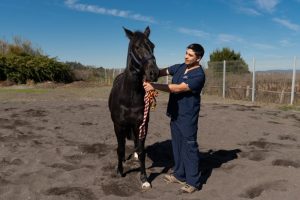 equina