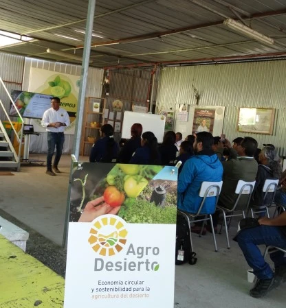 agricultura del desierto