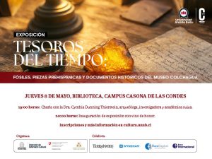 tesoros del tiempo