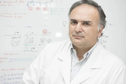 ranking internacional Research.com