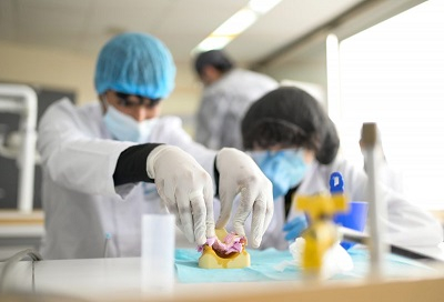 Odontología Interescolar colegios