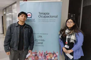 proyectos sociales terapia ocupacional personas