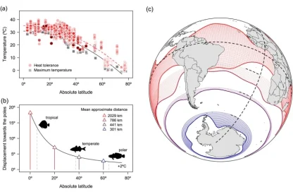 vulnerabilidad de los peces marinos al calentamiento global