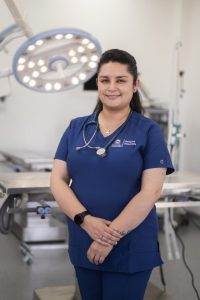 hospital veterinario animales tecnología caballos