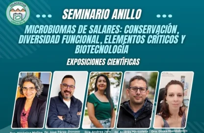 salares y litio