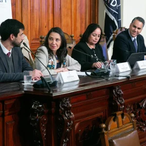Ley de Reparación Integral Macrozona Sur