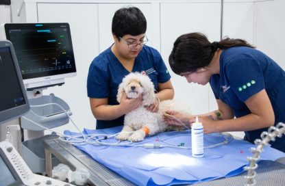 Hospital Clínico Veterinario