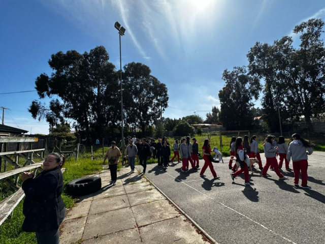 Foto Simulacro regional 1