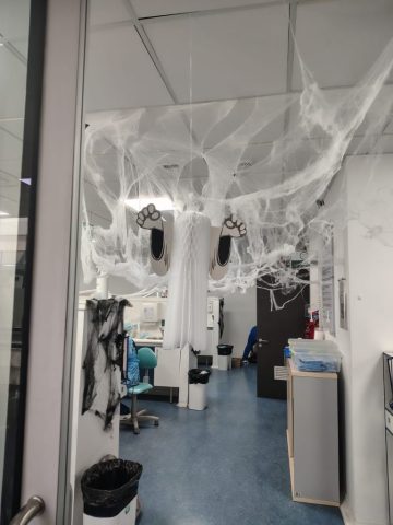 Odonto Halloween 115