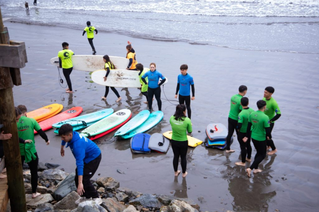 Surf 3