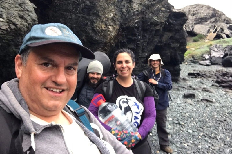 pingüino de Humboldt