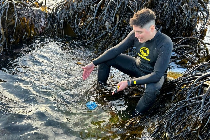 surgencia y cambio global