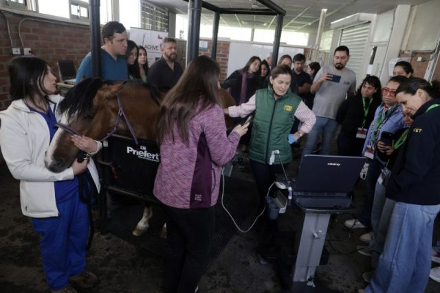 Jornadas ACHVE-WEVA 2025