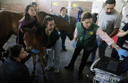 Jornaadas ACHVE-WEVA 2025