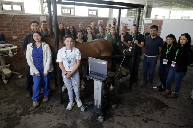 Jornadas ACHVE-WEVA 2025