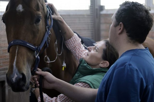 Jornadas ACHVE-WEVA 2025