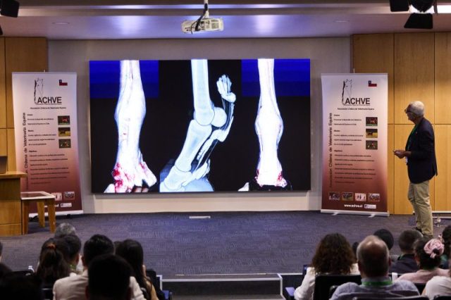 Jornadas ACHVE-WEVA 2025