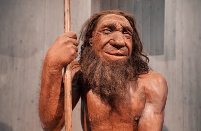 neandertales
