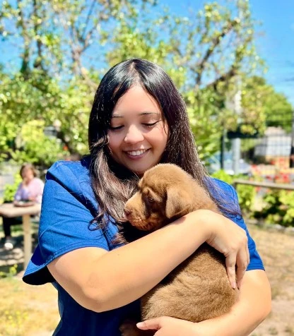 Veterinaria en Terreno