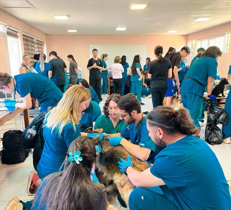 Veterinaria en Terreno