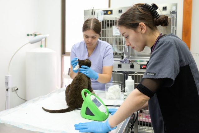 Atencio Veterinaria Incendios 2026 en HCV