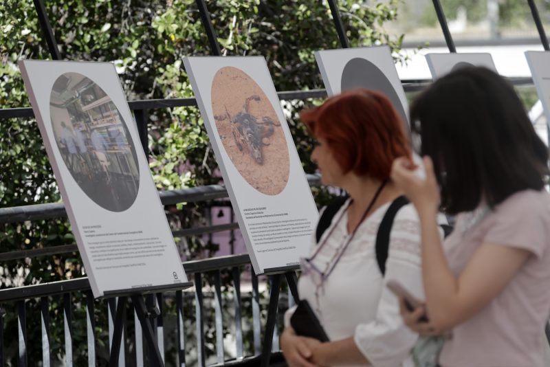 Congreso Futuro 2026