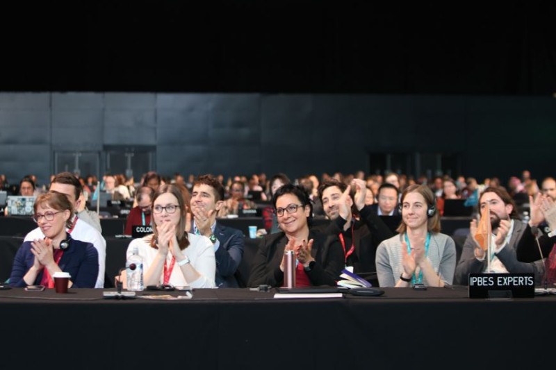 informe negocios y biodiversidad