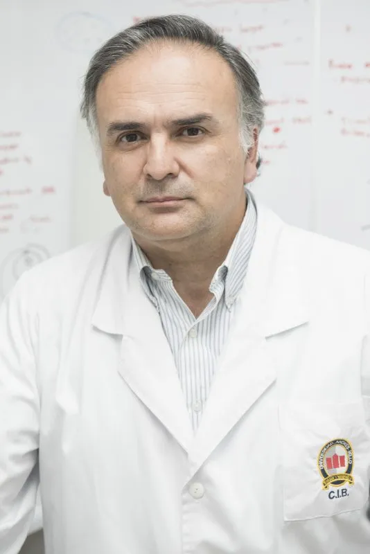 ranking Research.com