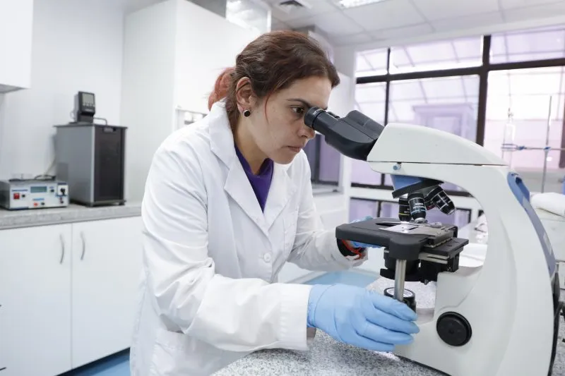 Ranking QS por Disciplinas 2026