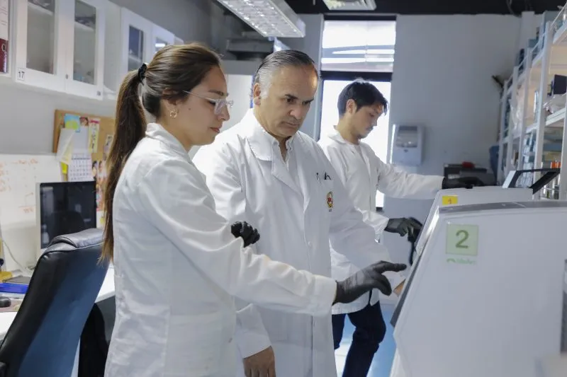 solicitudes de patentes