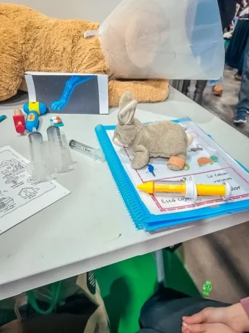 ExpoMascotas