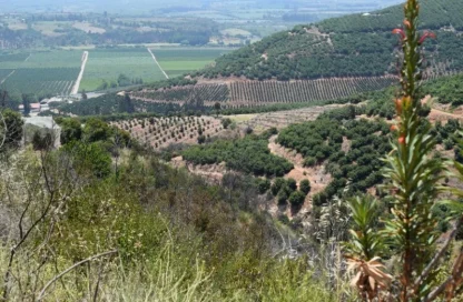 gestión sostenible del suelo agrícola