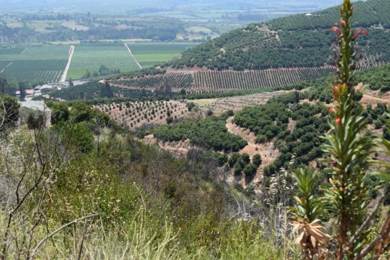 gestión sostenible del suelo agrícola