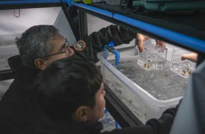 contaminación lumínica