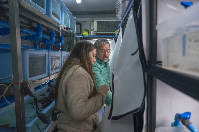 contaminación lumínica