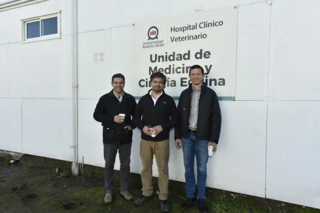 salud equina