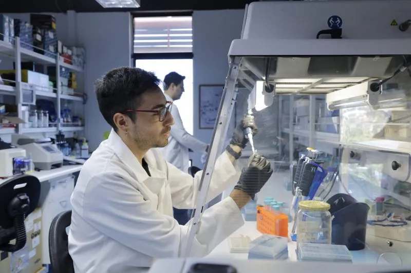 proyectos de investigación