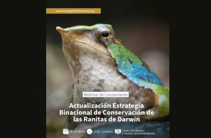 ranitas de darwin