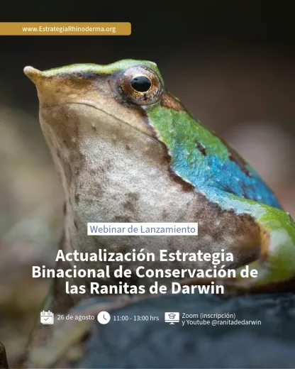 ranita de Darwin