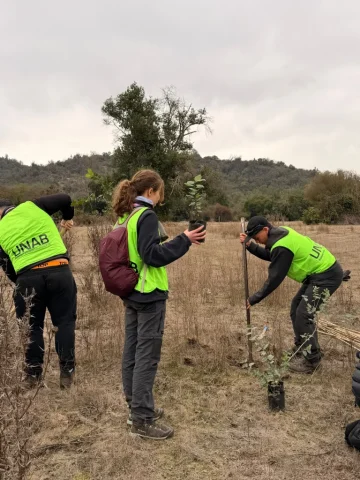 voluntariado República 2