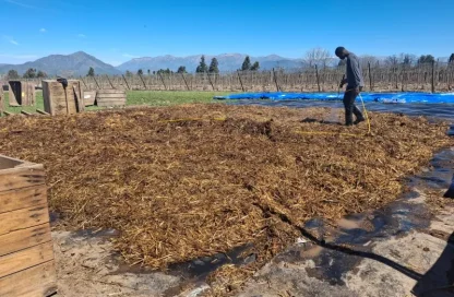 compost de alta calidad